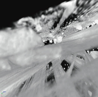 Illustration work for Amce